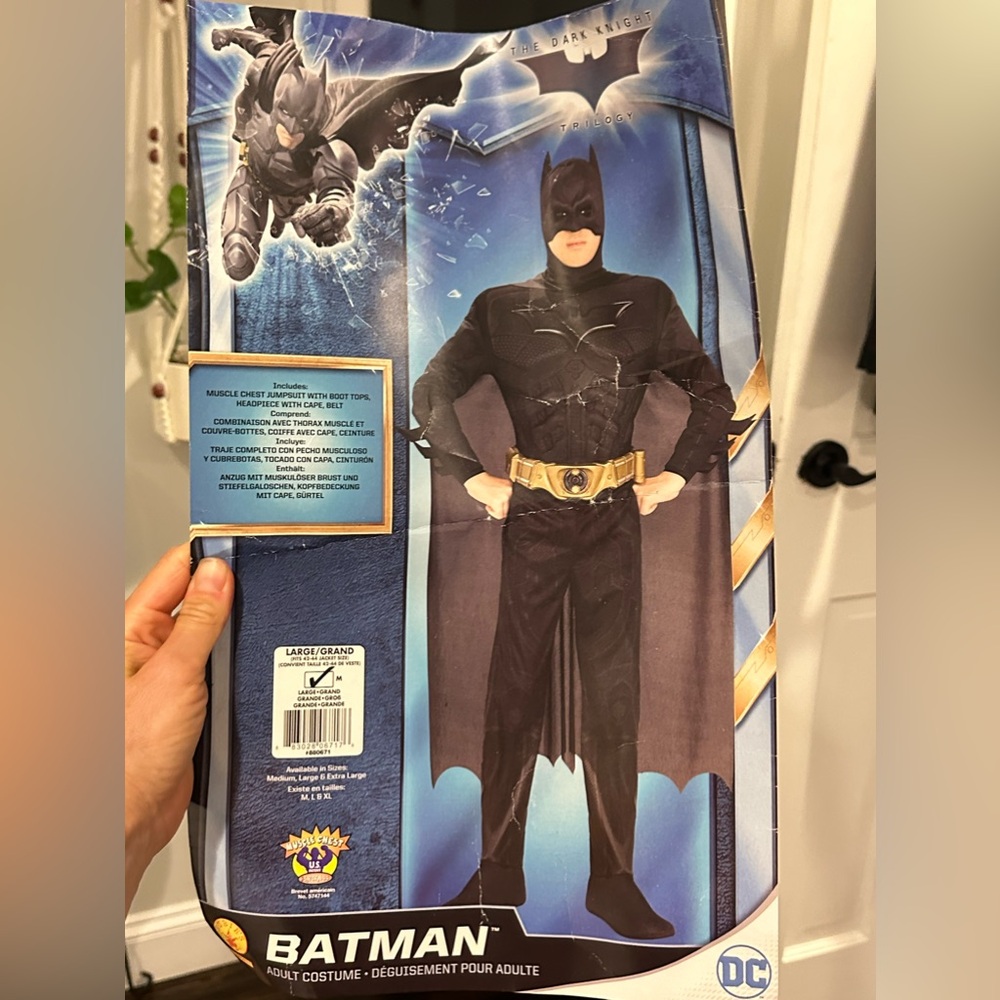 BATMAN & BATGIRL  2 COSTUMES NEW IN BAGS